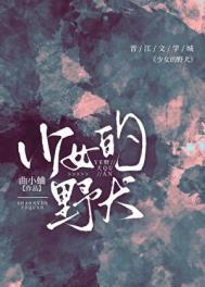 少女的野犬资源
